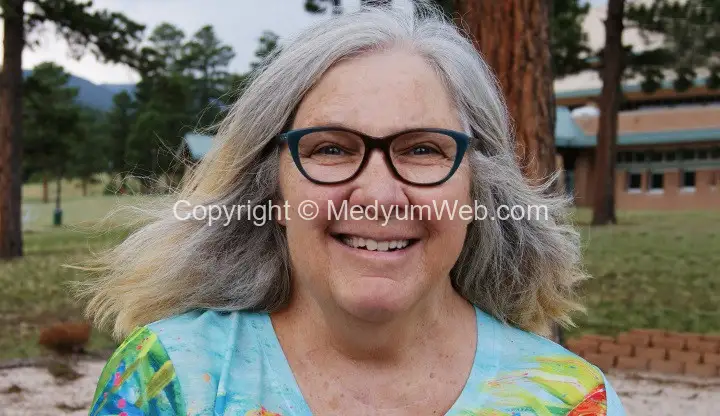 Artova Kızılırmak Medyum Perin